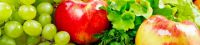 gesund_banner