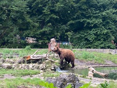 Tiergarten Straubing