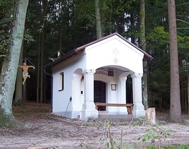 Pfellkofen-Waldkapelle-Bildlreis.jpg