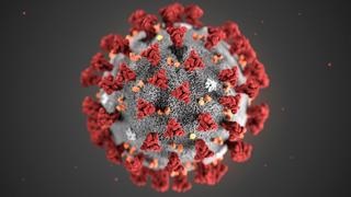 coronavirus 303 v teaserM